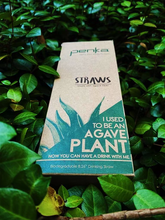 Load image into Gallery viewer, Agave Straw 8in (1 box with 2,400 straws)