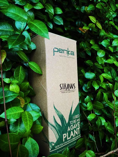 Agave Straw 8in (1 box with 2,400 straws) – Eco Solutions Distributor Inc