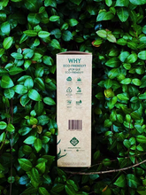 Load image into Gallery viewer, Agave Straw 10in (1 box with 1,800 straws)