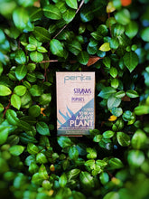 Load image into Gallery viewer, Agave Straw 5in (1 box with 4,200 straws)