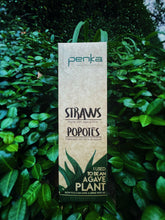 Load image into Gallery viewer, Agave Straw 10in (1 box with 1,800 straws)