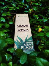 Load image into Gallery viewer, Agave Straw 10in (1 box with 1,800 straws)