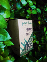 Load image into Gallery viewer, Agave Straw 5in (1 box with 4,200 straws)