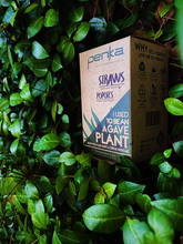 Load image into Gallery viewer, Agave Straw 5in (1 box with 4,200 straws)