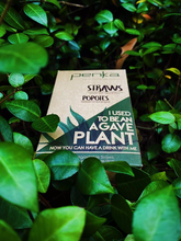 Load image into Gallery viewer, Agave Straw 5in (1 box with 4,200 straws)